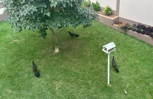 Caparao Velho House | Suítes Grãos do Alto Caparaó