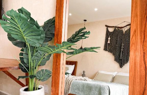 Ejidal Apartment | Suite F tortuga, equipada, 5min de la 5ta en auto