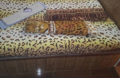 Loteamento Ville D'monte Alegre Apartment | Suite (it's a room with bathroom) single or double