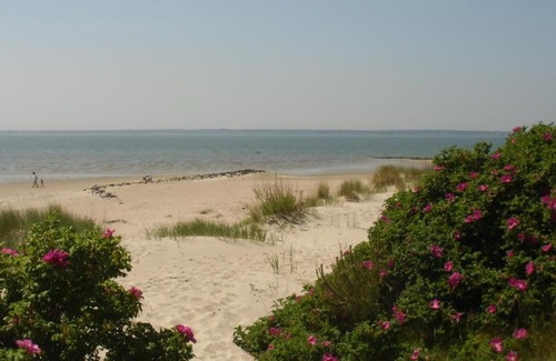 Nieblum House | Suite in Nieblum - Martina Christiansen