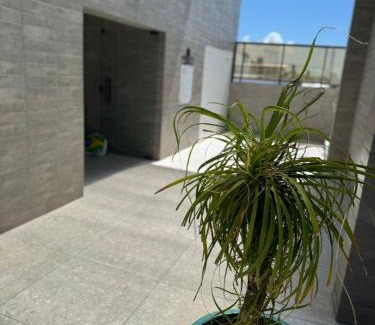 Manaira Apartment | SUITE PREMIUM VISTA MAr