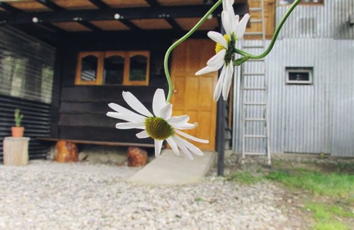 Province of Tierra del Fuego Cottage | Suite Rústica en un Valle Rodeado de Bosque,ideal Para Realizar Senderismo!