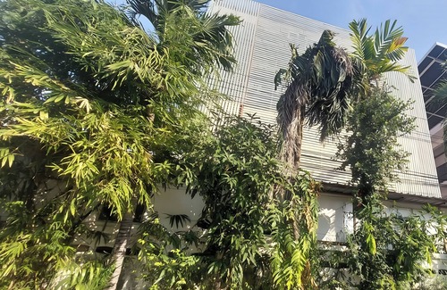 Dok Mai Apartment | Sukhum Mega Bangna Guest House