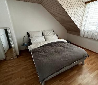 Pfaffikon District Apartment | Sunny private Apartment in an amazing valley