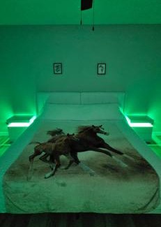 Silver Springs Shores House | Sunny Seascapes