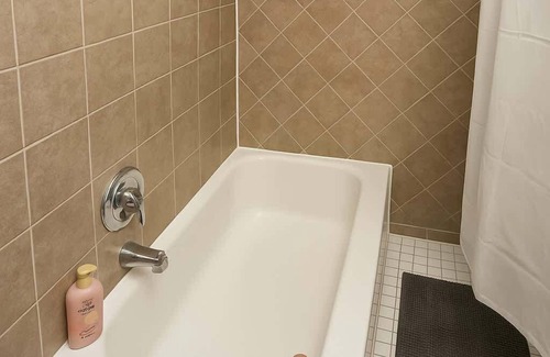 Ravenswood Apartment | Sunny Studio in Heart of Ravenswood