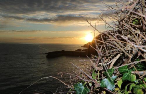 Gorran Haven House | SunnyVale Valley View Cottage