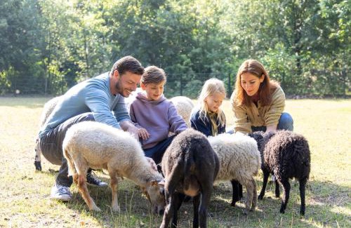 Mol Resort | Sunparks Kempense Meren