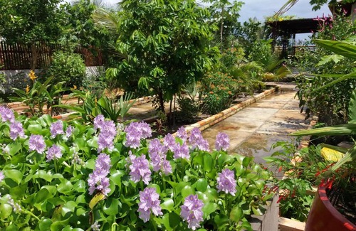 Caicara House | Sunset Barrinha