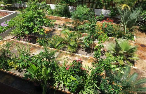 Caicara House | Sunset Barrinha