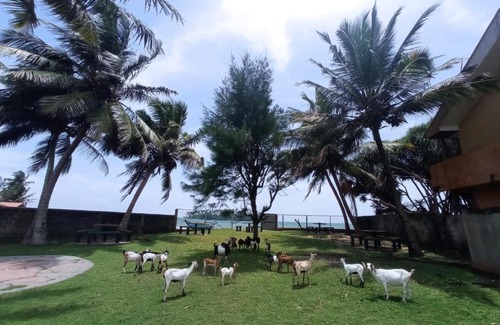 Hettimulla House | Sunset beach rest