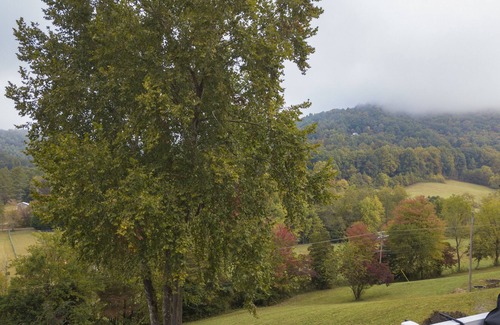 Hayesville Cabin | SUNSET COTTAGE: 1 BR, 1 BA Cabin or Bungalow in Hayesville, Sleeps 4