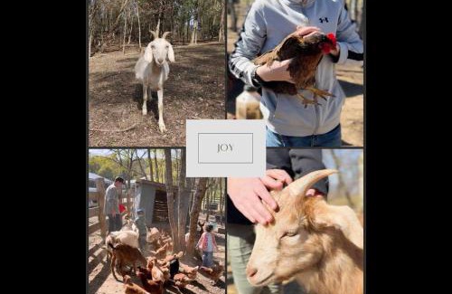 Bryant House | Sunset Ridge cabin 21 miles from Chatt TN Indoor pool & hot tub