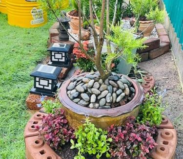 Rawai Hotel | Sunshine guesthouse