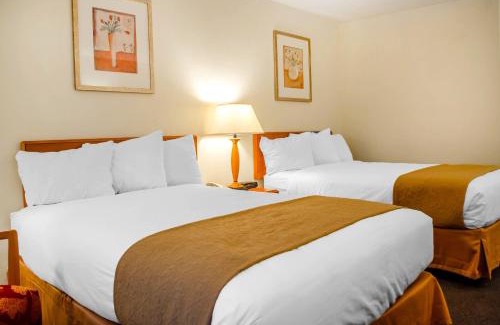 New Cumberland Hotel | Super 8 by Wyndham New Cumberland