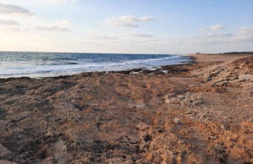 Bustan HaGalil House | Superior place A place in nature