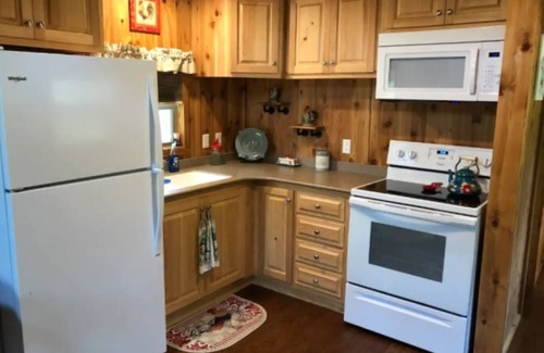 Mayo Cabin | Suwannee River Hide Away Cabin