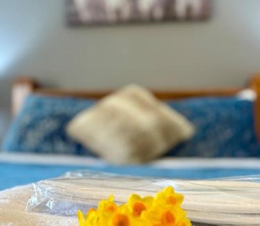 Lidster House | Swagmans Homestead