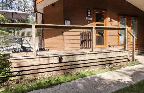 Ripley House | Swinsty Lodge