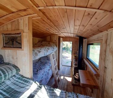 Llanfyllin Other | Sylvan Spaces