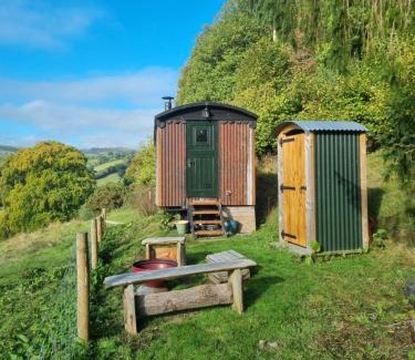 Llanfyllin Other | Sylvan Spaces