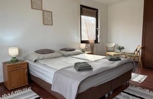 Szolnok Apartment | Szántó apartman