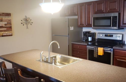 Birchwood Condo | T311 condo on Tagalong Golf Course overlooking Red Cedar lake