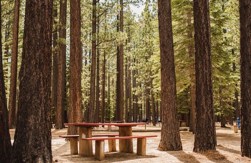 Tahoe Valley Cabin | Tahoe Valley Campground