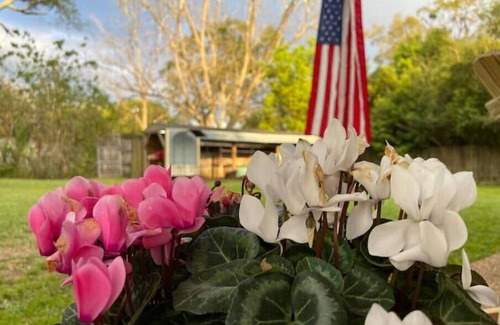 Tillmans Corner House | Take a break on Freeway Lane
