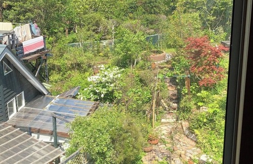 Futo Cottage | Tall Hollyhock/Ito Shizuoka