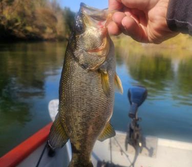 Albert Falls Apartment | Tally-Grey Cottage