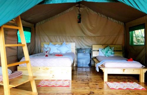 Providencia de Dota Other | Tami Lodge