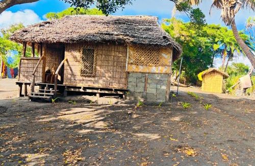 Tanna Island Bed & Breakfast | Tannawildpig