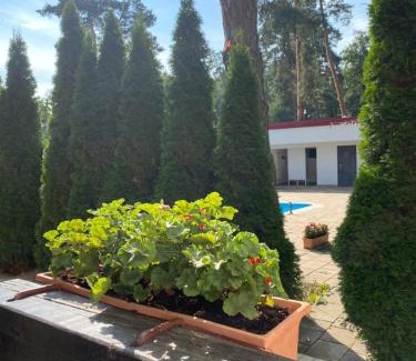 Romankiv Hotel | Taverna