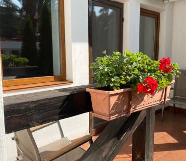 Romankiv Hotel | Taverna