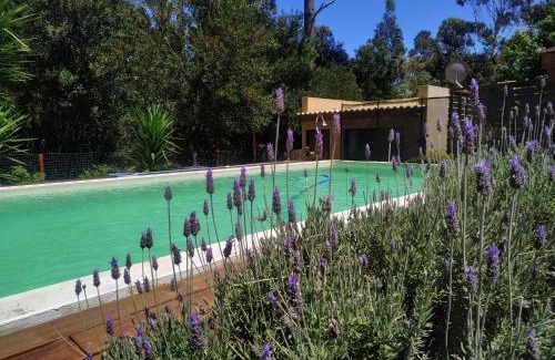 Balneario Argentino House | Tekora con piscina Climatizada
