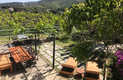 Kantanos-Selino House | Temenia House