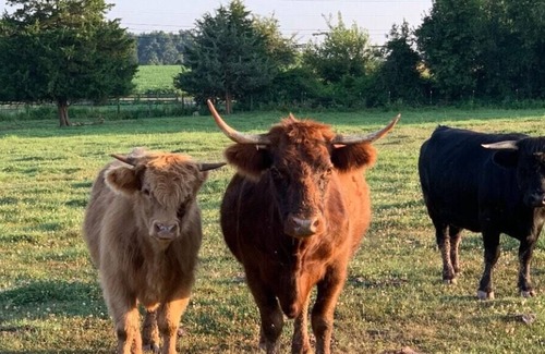 Keymar RV Rental | Tentrr Signature Site - Blackwell Wood Farm