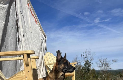 Ellsworth House | Tentrr Signature Site - Hilltop Campsite Tucked Behind Blueberry Fields