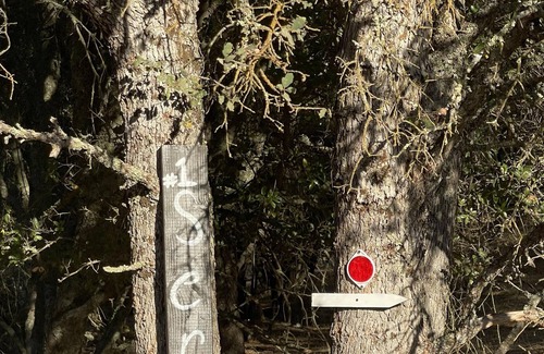 Drytown RV Rental | Tentrr Signature Site - Rancho Amador Site 1