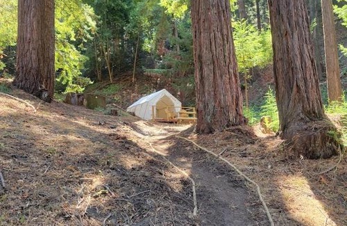 Soquel Other | Tentrr Signature Site - Redwood Grove Site B