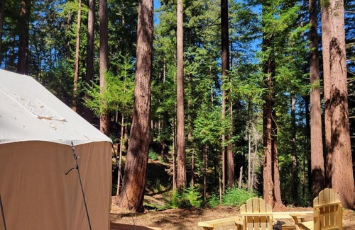 Soquel Other | Tentrr Signature Site - Redwood Grove Site B