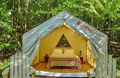 Talisheek RV Rental | Tentrr State Park Site - Louisiana Bogue Chitto State Park - Riverview I - Singl