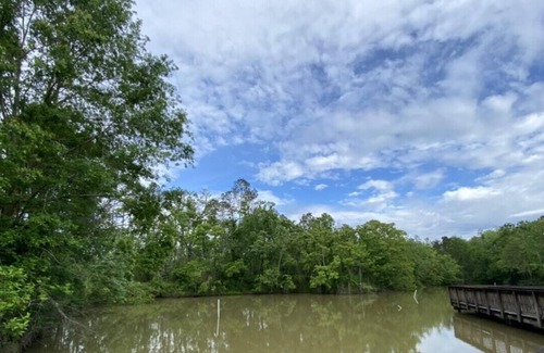 Springfield RV Rental | Tentrr State Park Site - Louisiana Tickfaw State Park - Woodland C - Single Camp