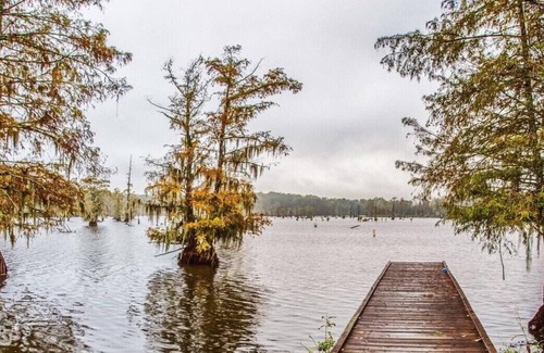 Saint Landry RV Rental | Tentrr State Park Site - Louisiana Chicot State Park - Site B - Double Camp