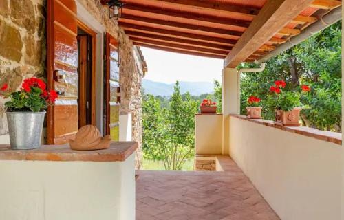 Chiocchio Apartment | Tenuta Poggio ai Mandorli