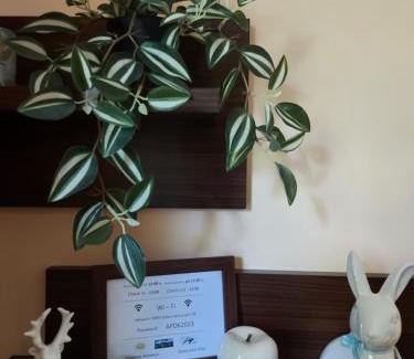 Razlog Apartment | Terra complex -D6 - Balkan private apartment-Spa Sking Golf and Relax