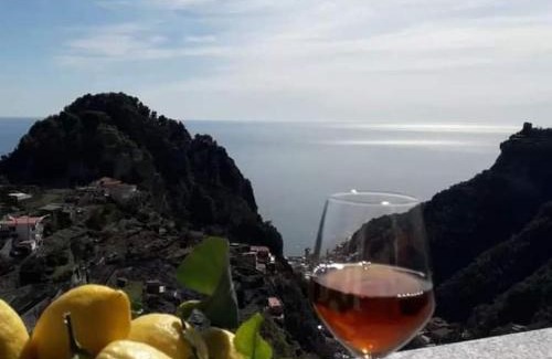 Pontone Apartment | Terrazza Belvedere a Pontone -Scala- Amalfi coast- park included