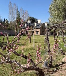 Guaymallen Apartment | Terroir Village - Complejo en Mendoza