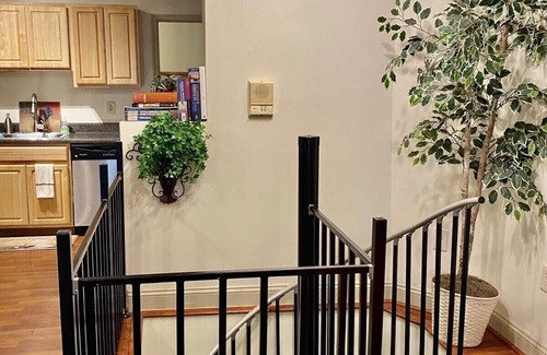 Downtown Baltimore Apartment | The 3 Bedroom Clifford House in Historic Mount Vernon